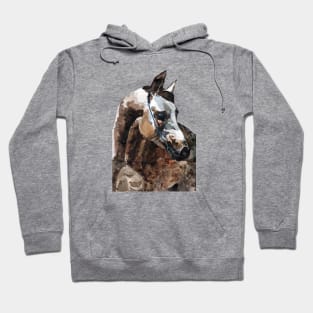 Arab horse Hoodie